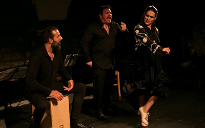 Flamenco Al Golpe